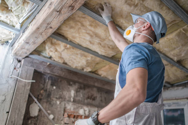 Best Crawl Space Insulation  in Cortland, NY