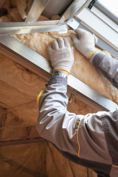 Best Insulation Removal Services  in Cortland, NY