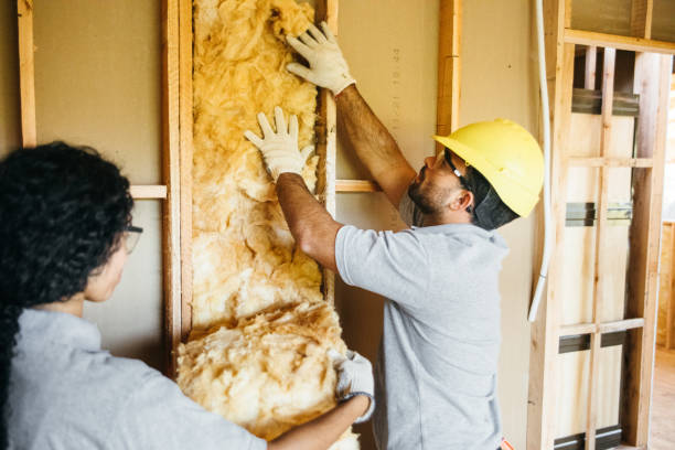 Best Insulation Contractor Near Me  in Cortland, NY