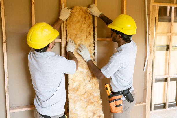 Best Attic Insulation Installation  in Cortland, NY