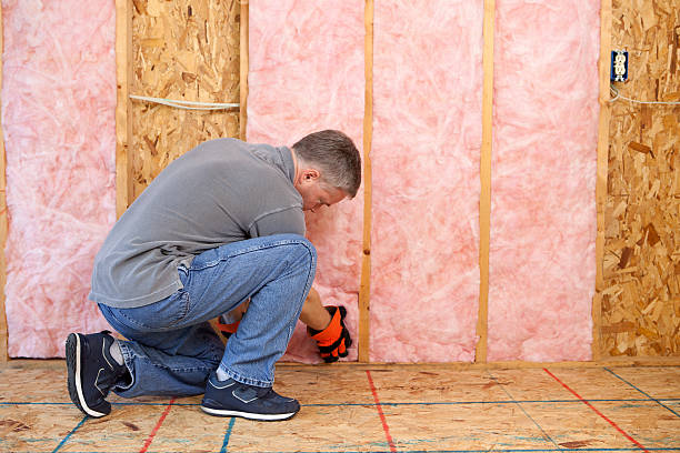 Best Insulation Contractor Near Me  in Cortland, NY