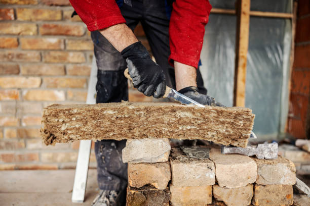 Best Insulation Repair Services  in Cortland, NY