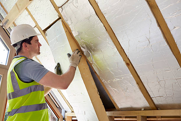Best Insulation Removal  in Cortland, NY