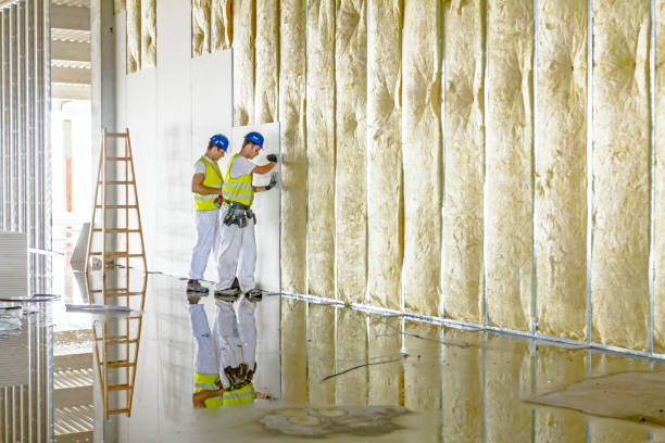 Trusted Cortland, NY Insulation Contractor Experts